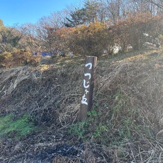 駐車場は5台停まっていたけど誰にも会わなかった
皆さん、篭岩山に行ったのかな。