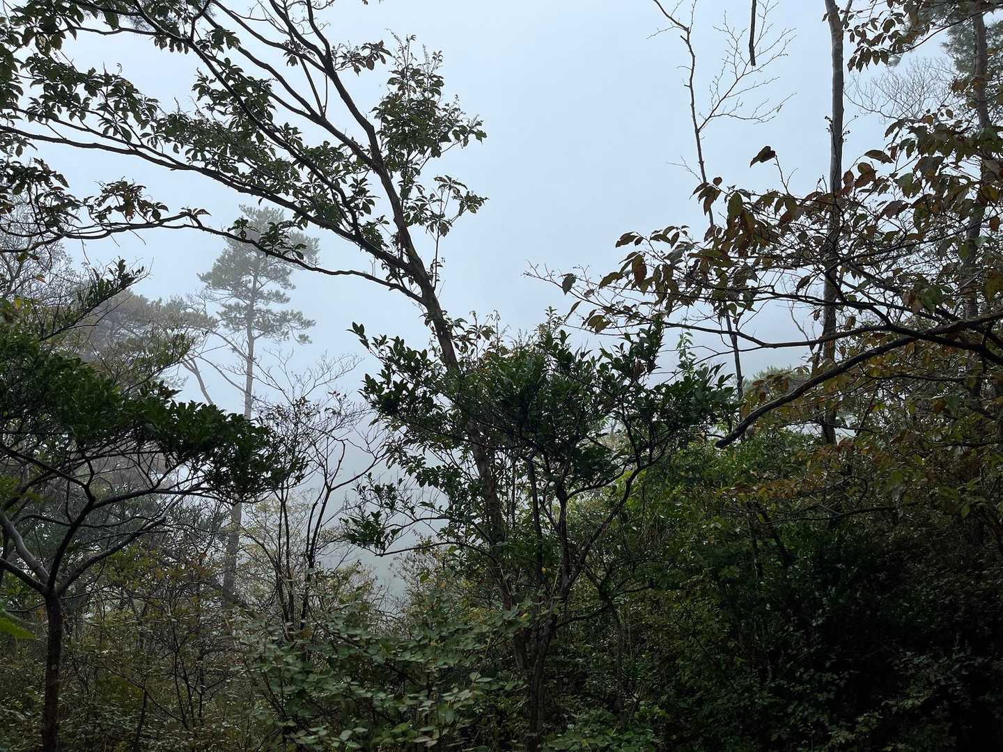 雨やんだかな…ガスで真っ白です