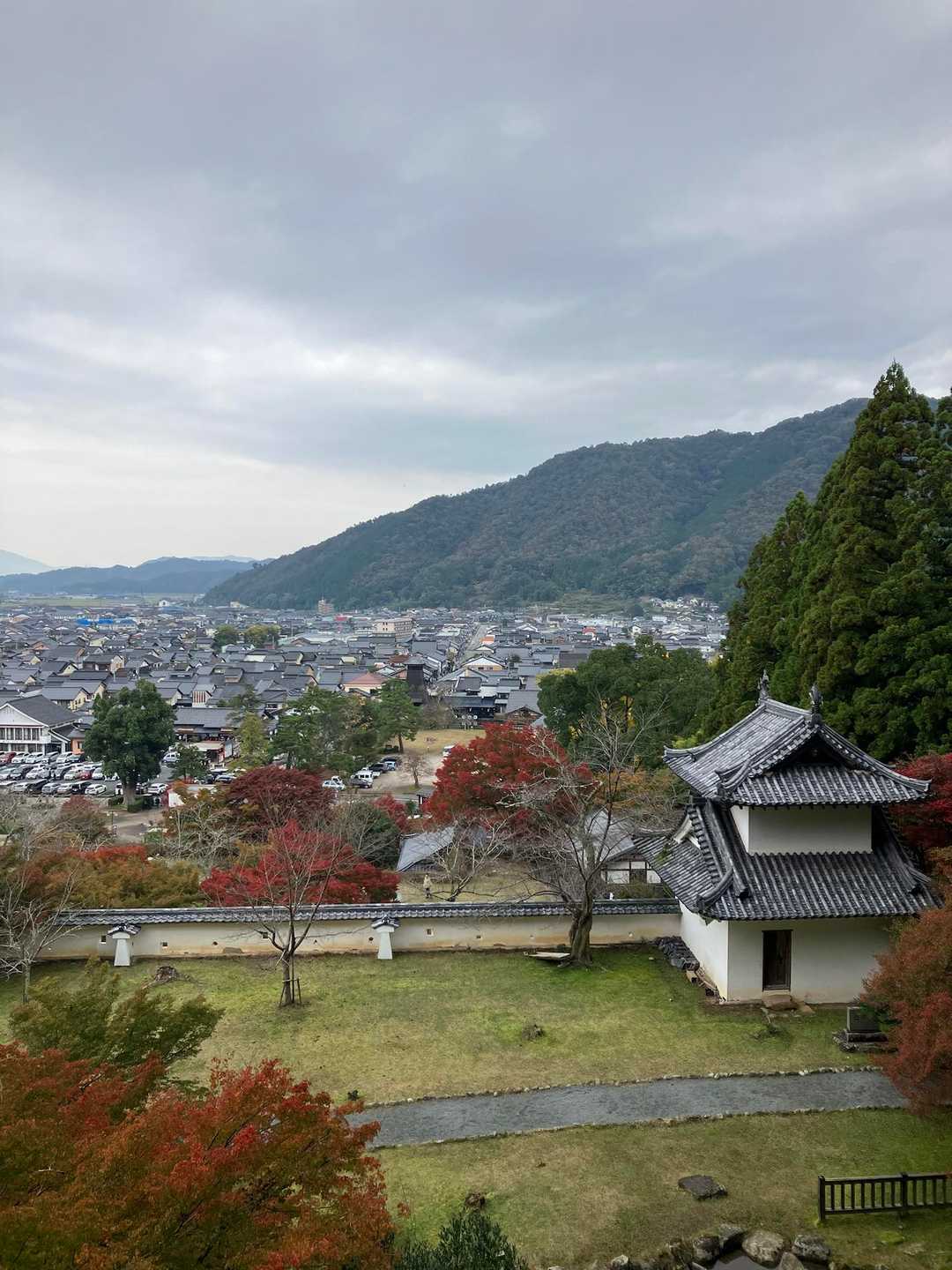 出石城から👀