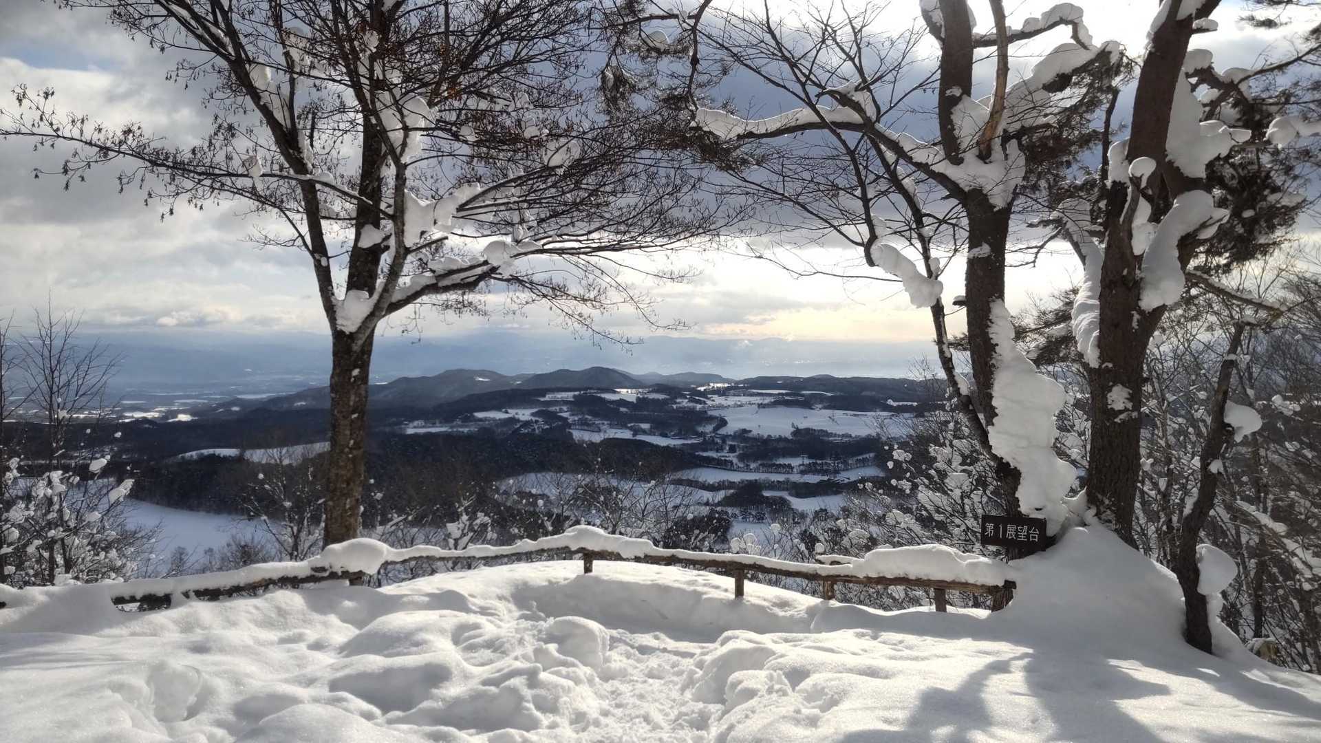 鞍掛山 往復コースの写真