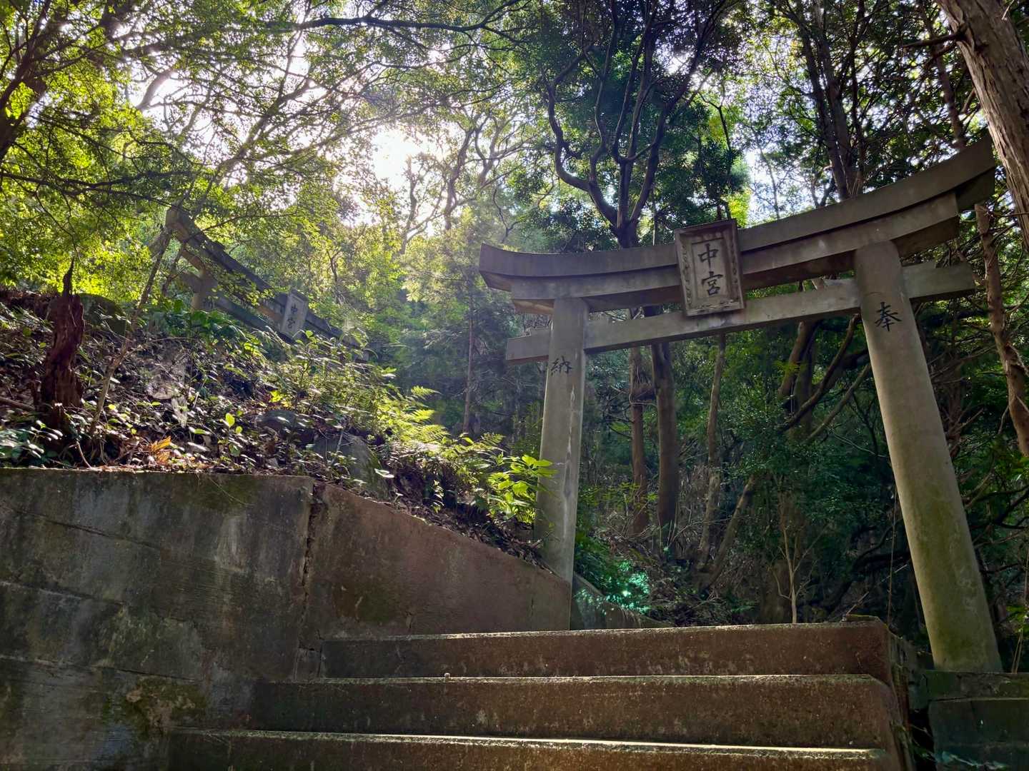 中宮
日の差し込み具合が神々しさを醸しだす