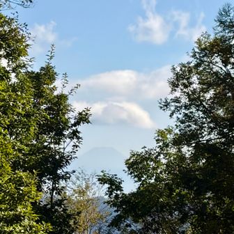 木々の向こうに富士山🗻
靄でだいぶ見え辛くなってました
