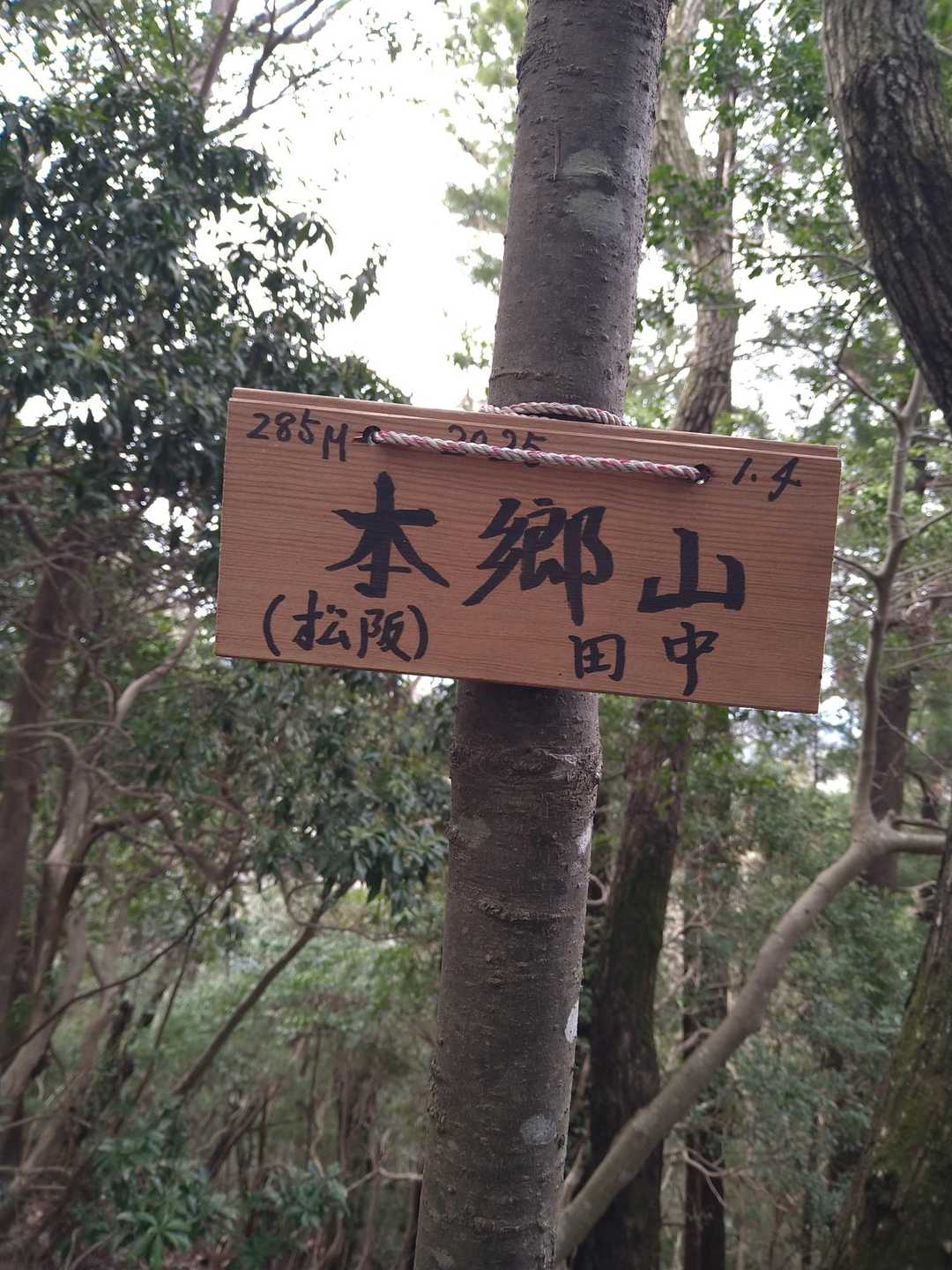 コン田山 周回コースの写真