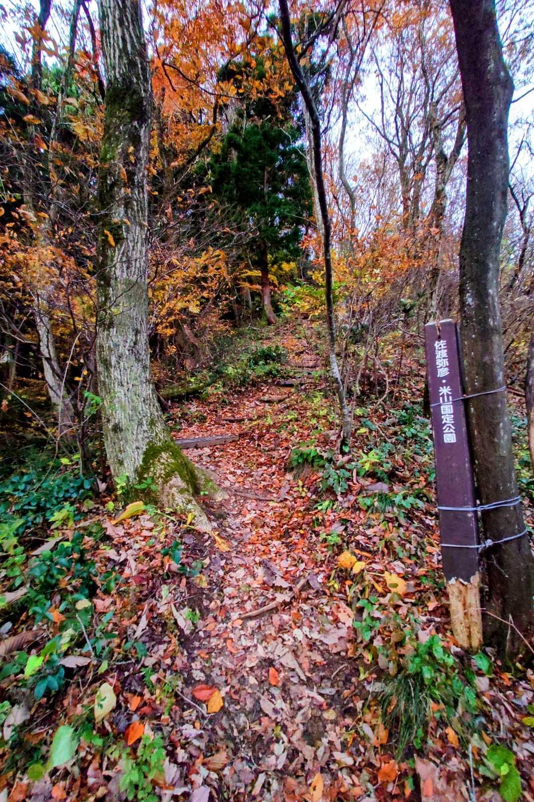 多宝山（岩室温泉丸小山公園）＜天神山ルート＞の写真