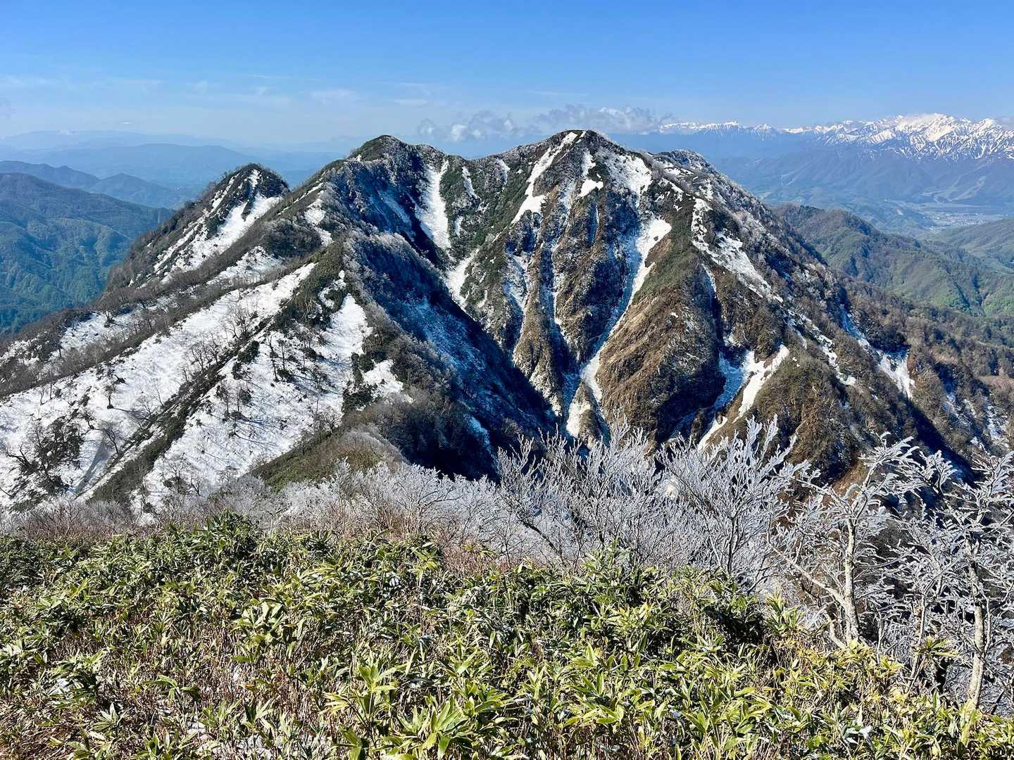 東山。