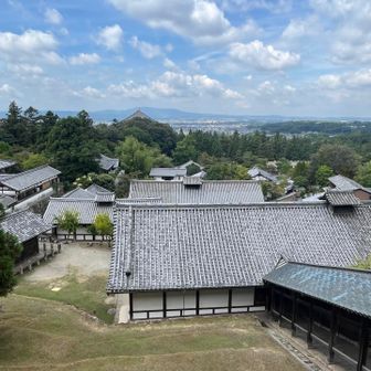二月堂の舞台からの眺め。