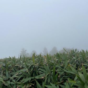 上蒜山方向…