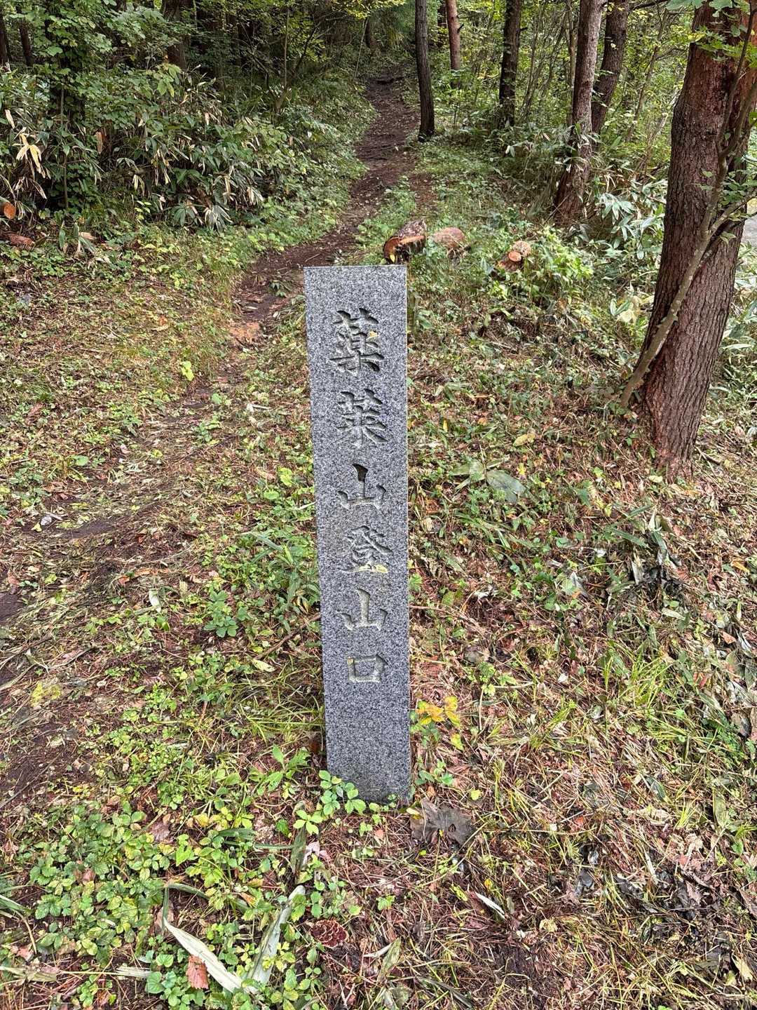 ここに下山