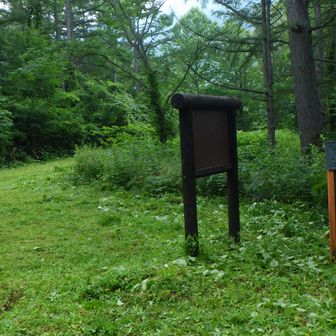 林道分岐を左へ。
下山では画像右方向へ