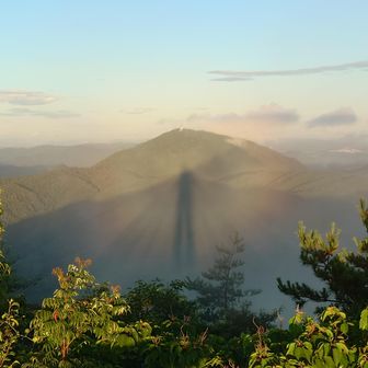 ヤマアルキメデス