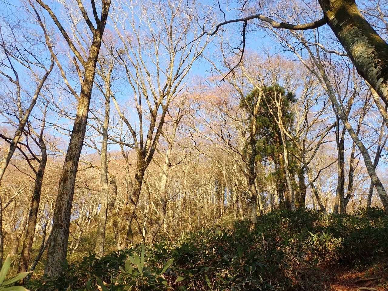 この時は気持ち良かった