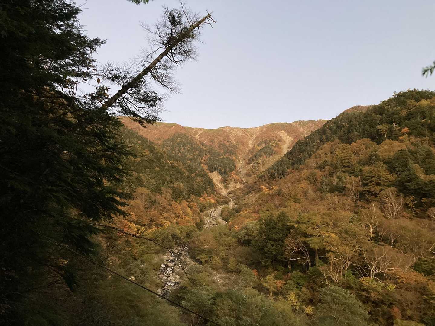 これは！周囲が明るくなると稜線と斜面の紅葉が見えてきました(^^♪。