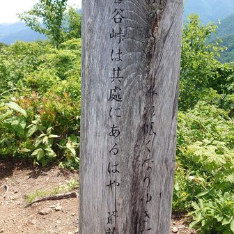 斎藤茂吉の句
