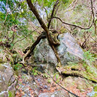 ここは滑ります