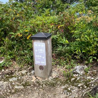 もうちょっとで、ゴール

下山後は、
『ゆ〜パーク薬師♨️』でサッパリ！
とっても良いお風呂でした。
昼食は、
『ぶっかけおろし蕎麦』1100円
山行の時は、あまり食べれなくなるので アッサリした、蕎麦で十分です。
長めに時間取って下さったので
良かったです。👍

会の皆様お世話になりました。🙇‍♀️

