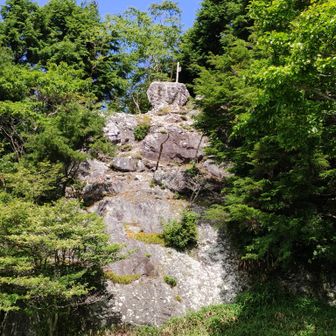 御池山の山頂