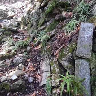 阿留摩耶山大神への旧道入口ですが前回登ってみたところルートが完全に不明になってました。