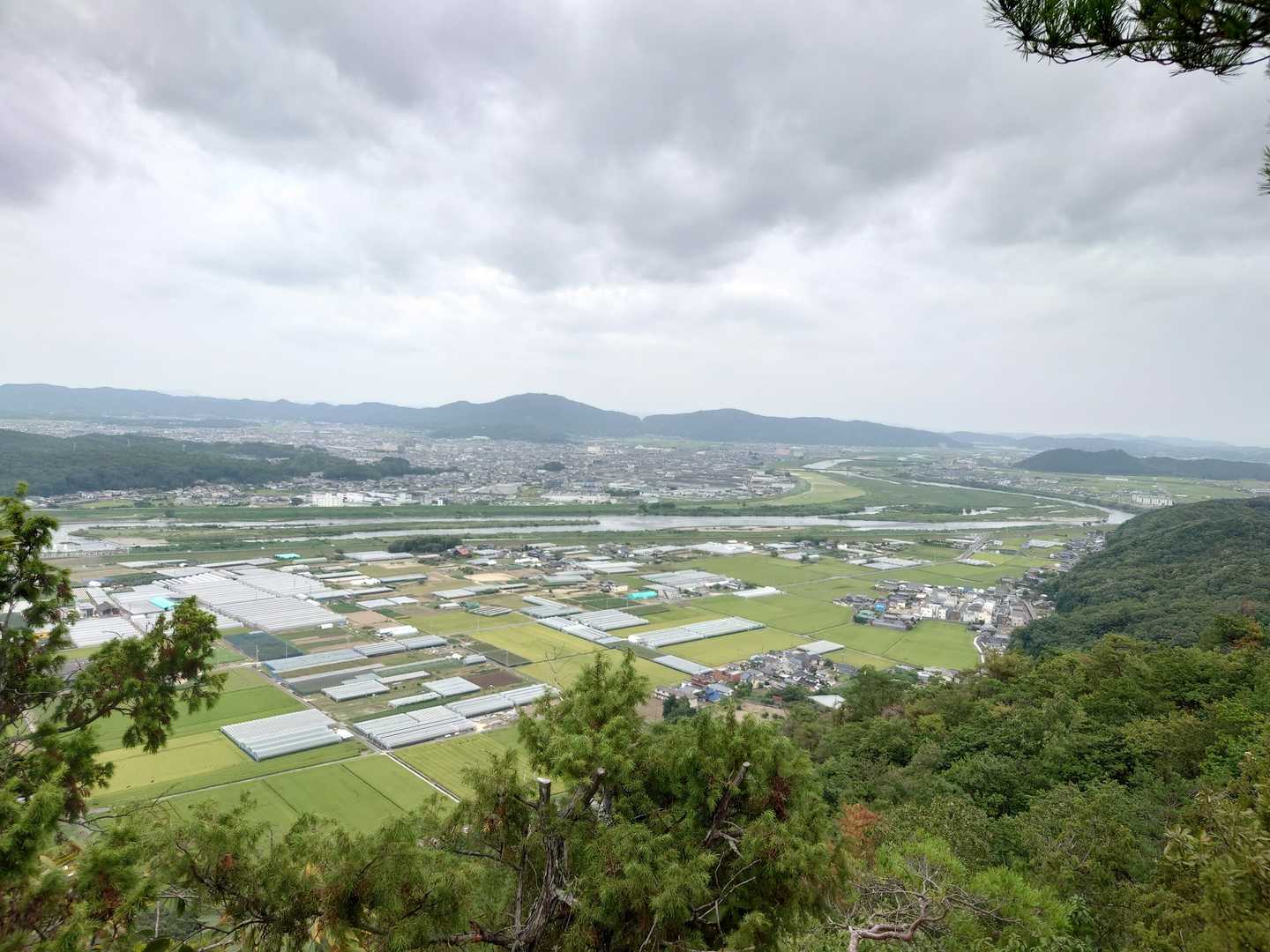 城山・正木山 往復コースの写真