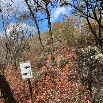 結局
帰りも鎖場にした