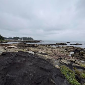 海にはめったに行かないので海の景色、潮の香り、海鳥の鳴き声すべてが新鮮で癒されました🌊