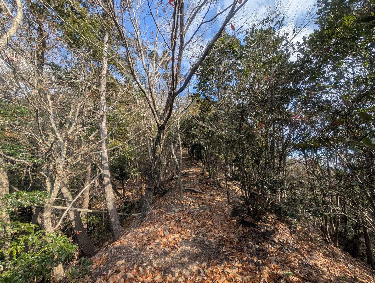 花ヶ岳 周回コースの写真