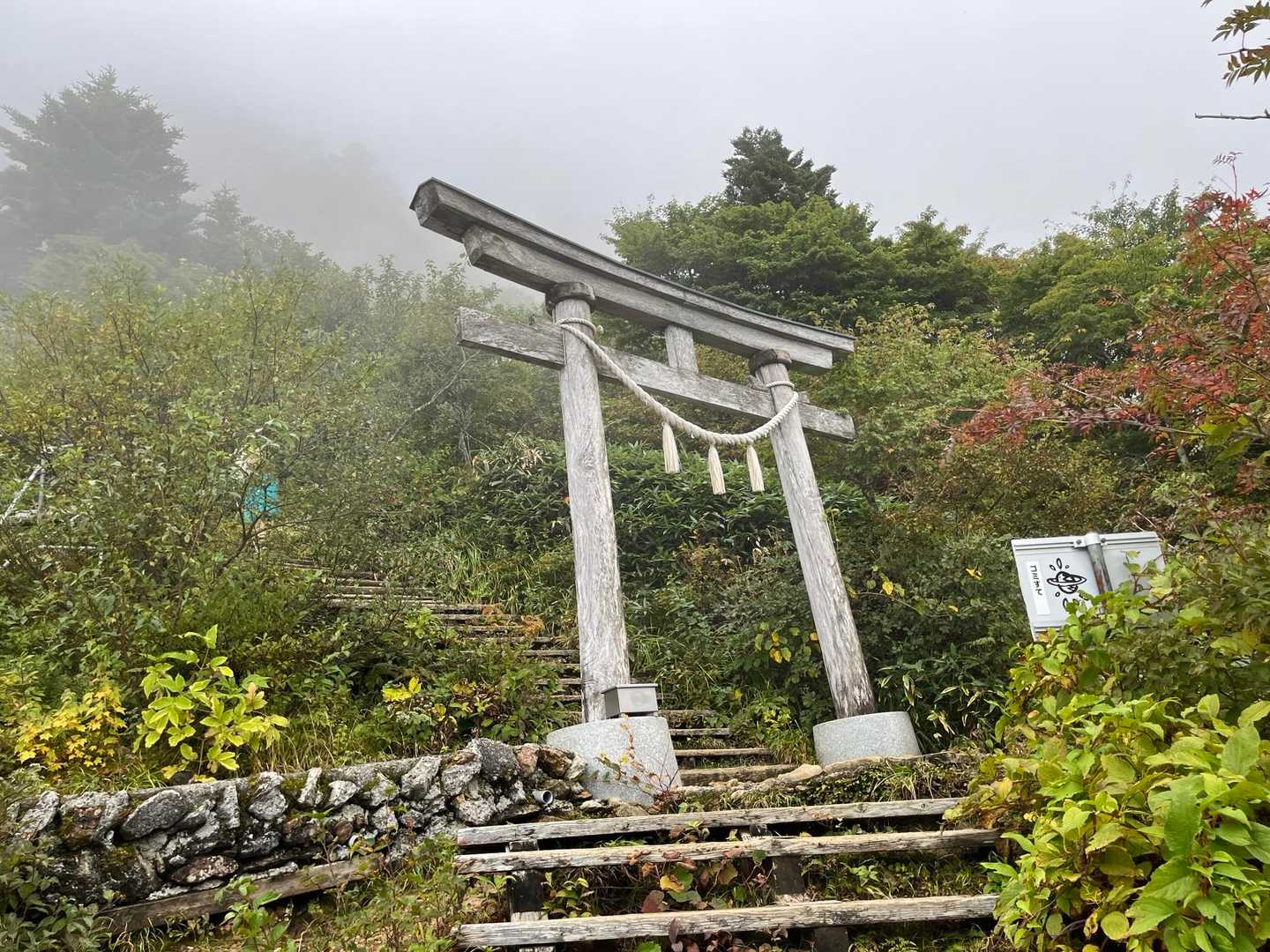 成就社道との合流点