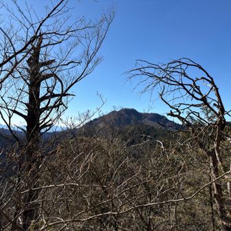 これから登る大岳。