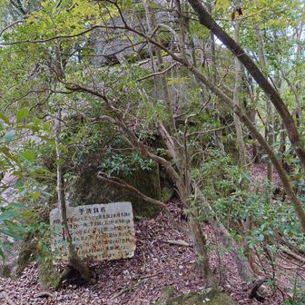 手洗鉢岩