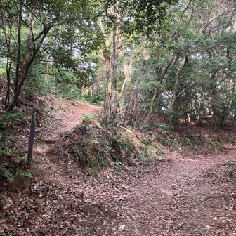 左上↖️ 雁回山⛰️ 山頂へ🚶💦
