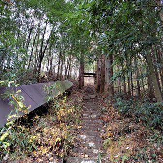 石段が長ーい💦しかも幅も狭いところもあるし急です。
