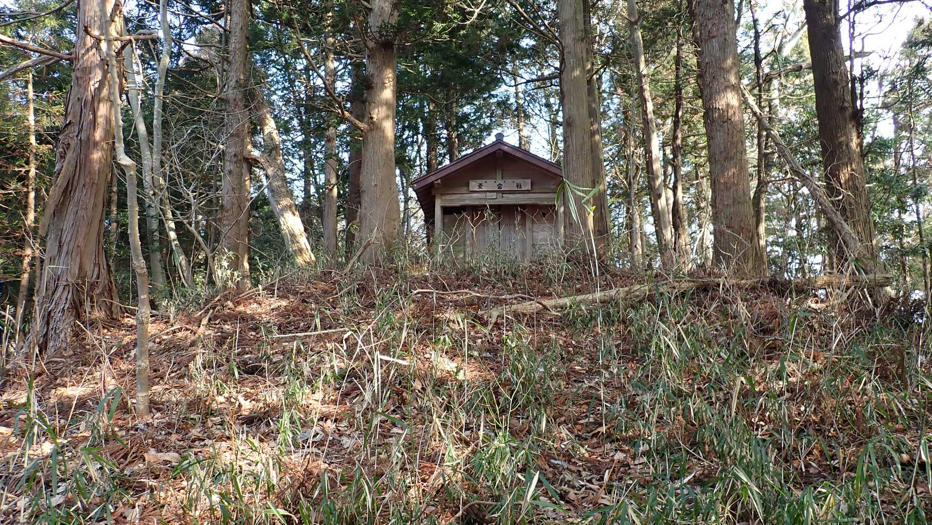 やっと見えた・・・
