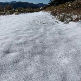 パウダースノーです