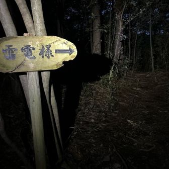 寄りますか😅