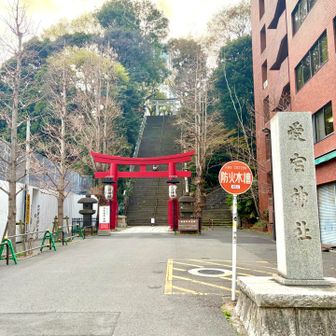 エレベーターをスルして大鳥居到着
有名な？出世の階段(既に手遅れだが)を登る