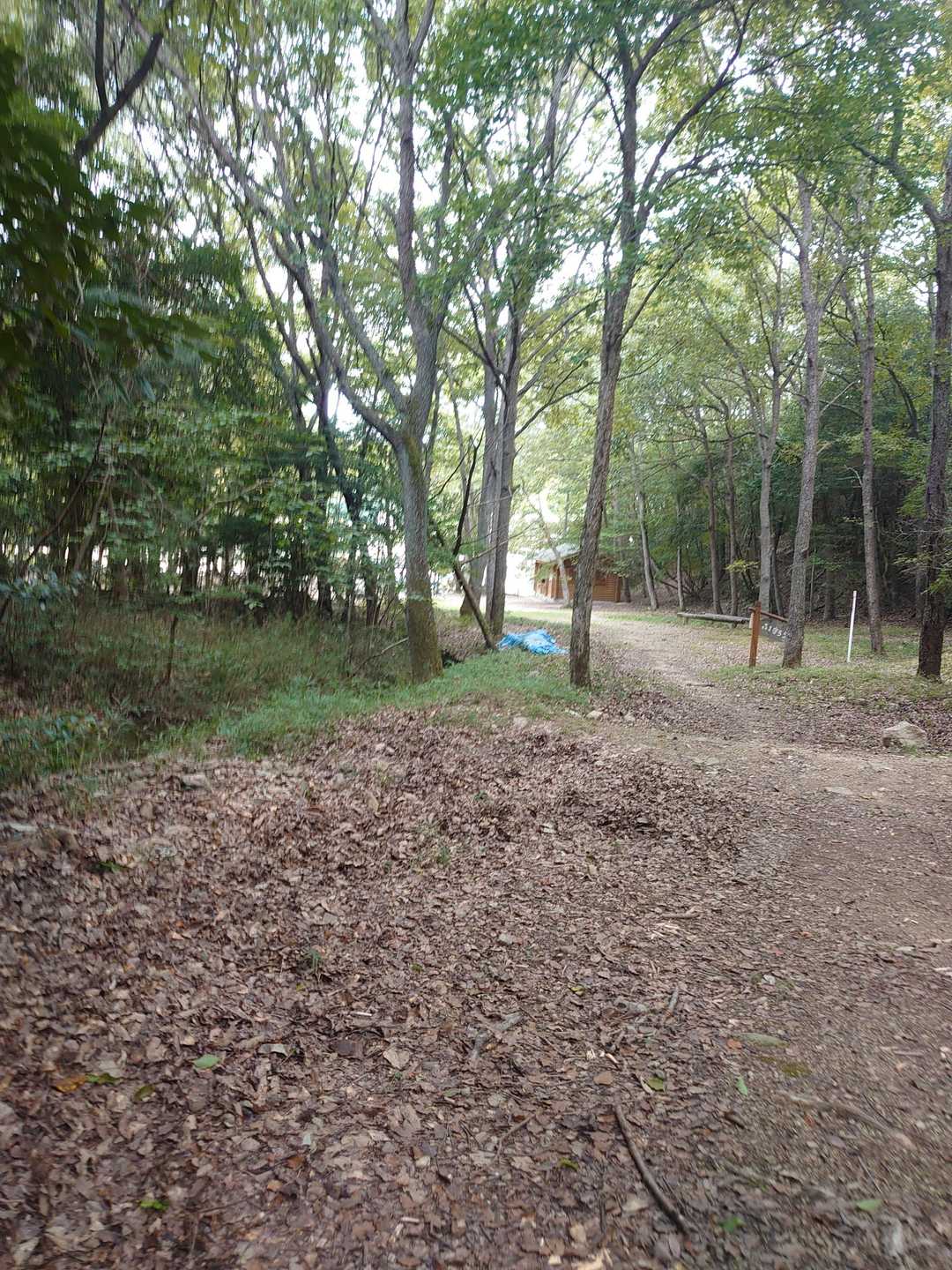 周回して「どんぐり大橋」って公園に戻ってきた。
めっちゃ不完全燃焼
どっか近くの山、探すか🤔🕵