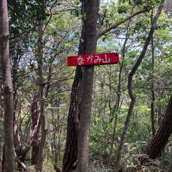 なかみ山（初登頂）