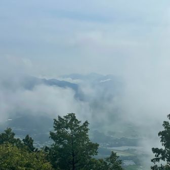 鳳来寺山が霧の向こうに浮かんでいる。