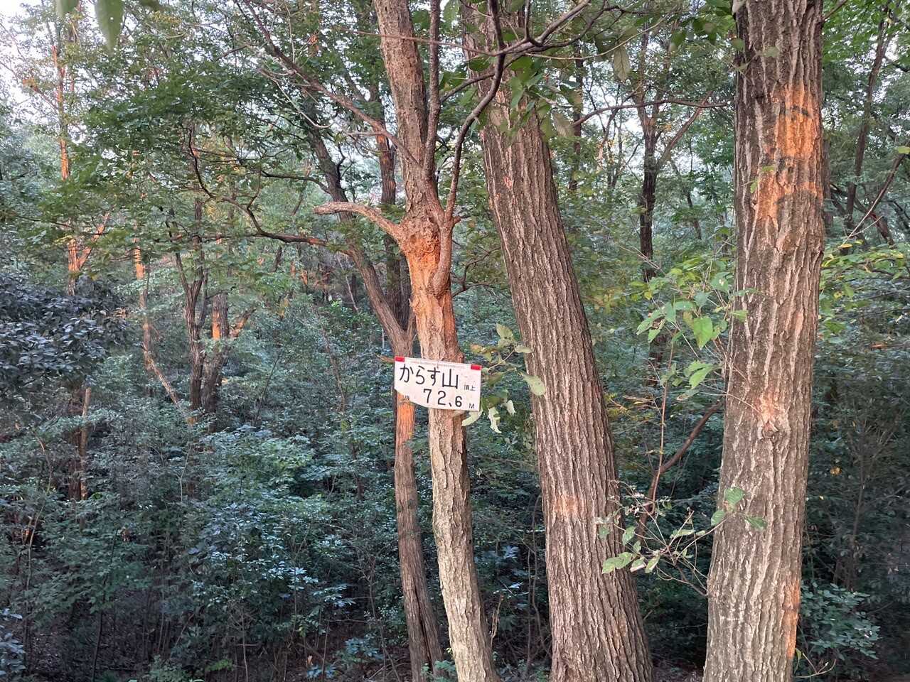 からす山の写真