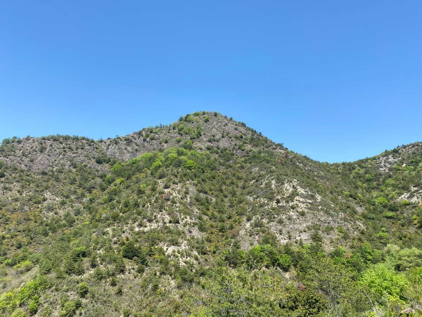 桶居山の南側