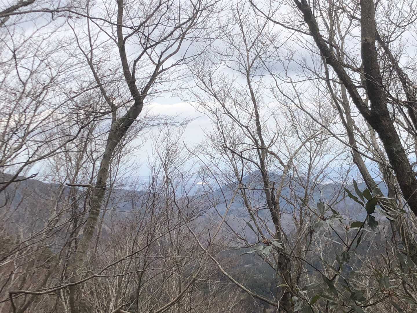 眺望ほぼ無し。ドームが見えるの分かりますか？