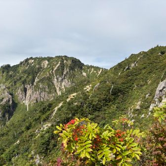 コンパクトな良い山