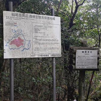 稲尾岳の説明かな、眺望ない🤣