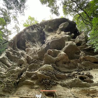 天狗っぽく見えるかも！？