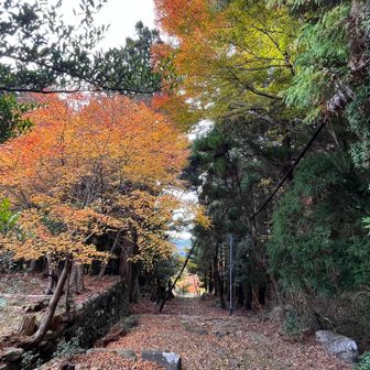 銅鳥居下の車道を越えた先にも参道は続いていた…