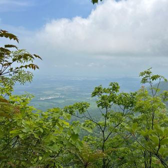 一の森、展望台からの景色
