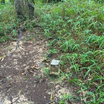 待兼山に到着！草のおかげでズボンはびしょ濡れに😢

AIによると
待兼山（まちかねやま）は、大阪府豊中市・池田市・箕面市にまたがる標高77.3メートルの丘陵地です。その大部分を大阪大学豊中キャンパスが占めており、大学の代名詞としても親しまれています。

とのことです📝