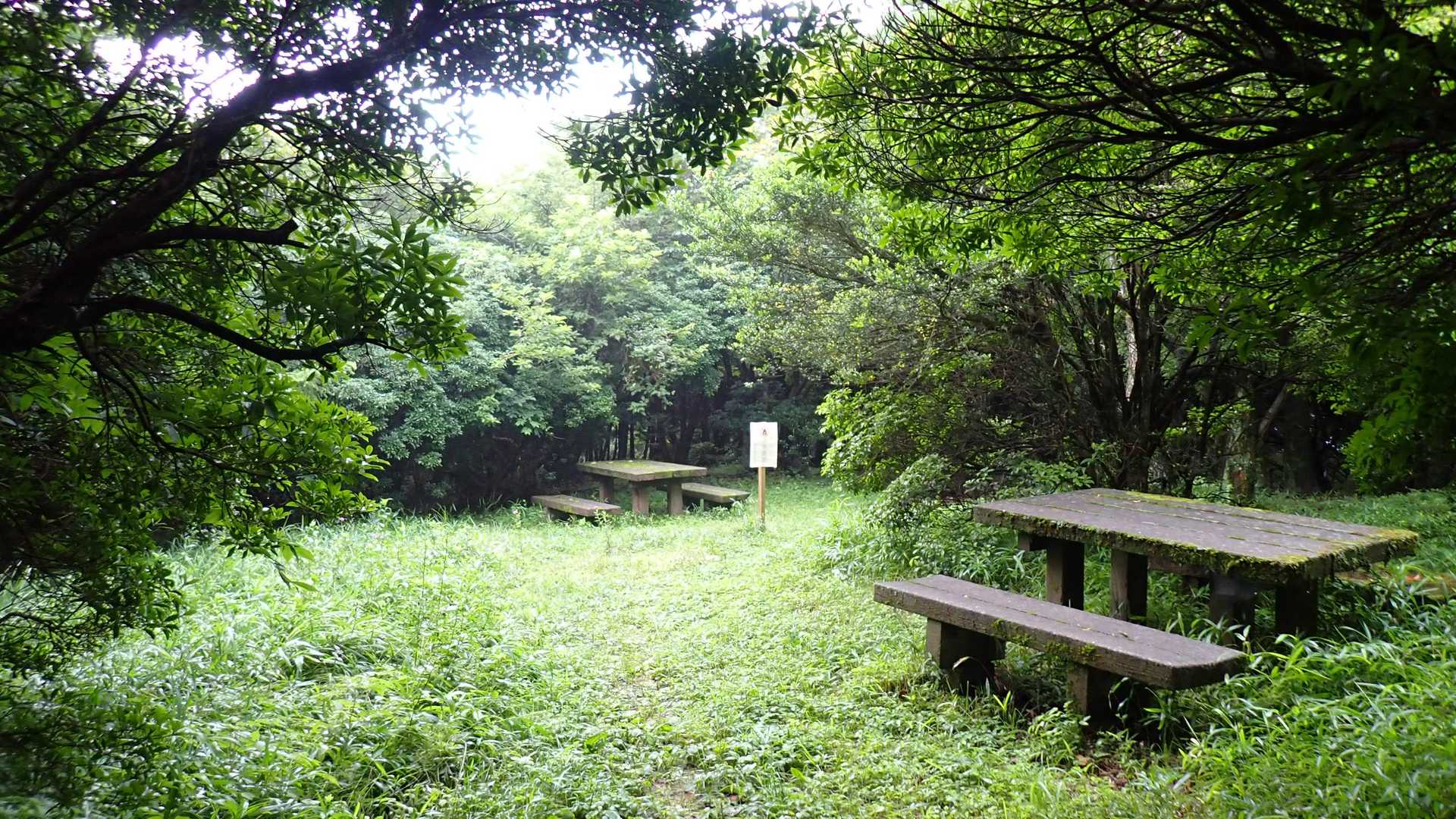 鞍岳登山口から矢護山へ出発！