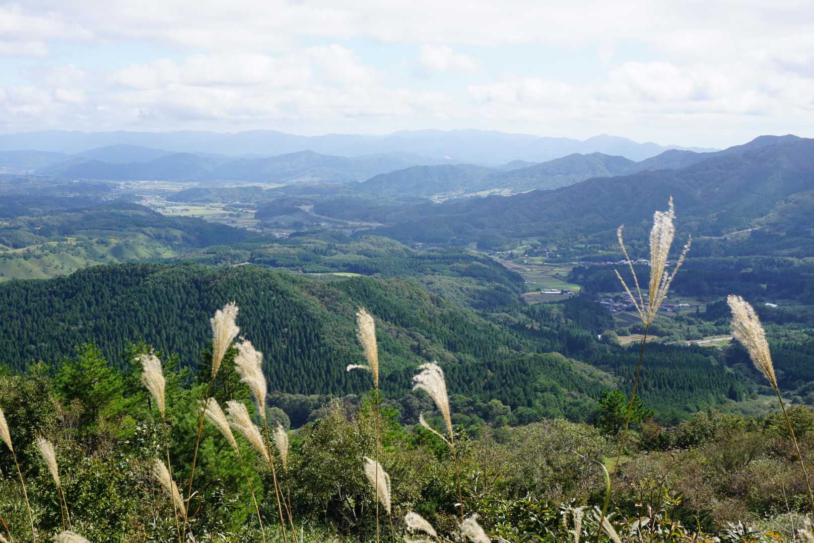 毛無山-白馬山-俣野越-金ヶ谷山-朝鍋鷲ヶ山-穴ヶ乢-三平 縦走コースの写真