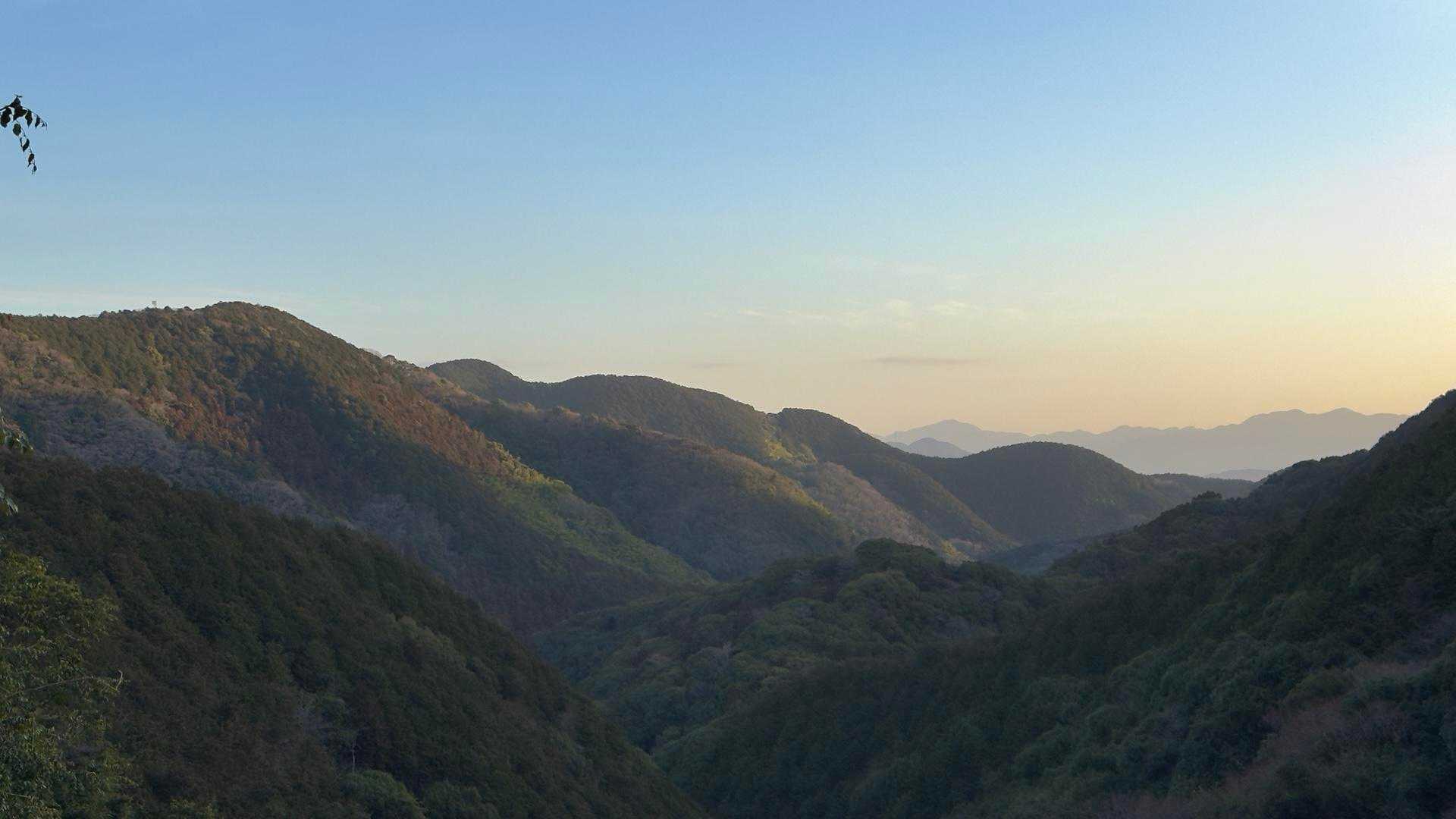 丹鳳山方面、グレーピークです。
登るの大変です🤣