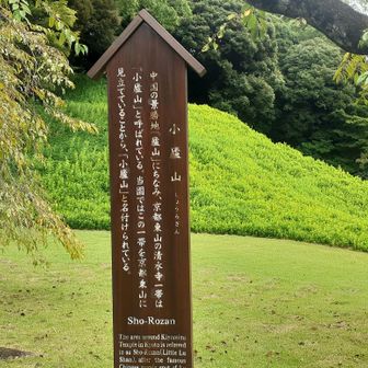 バックの園内で一番大きな山が一盧山(YAMAPに登録済み) 標高12m